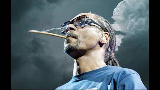 Snoop Dogg, Wiz Khalifa, Ludacris - We Show Up ft. DMX | 2026 (Remix)