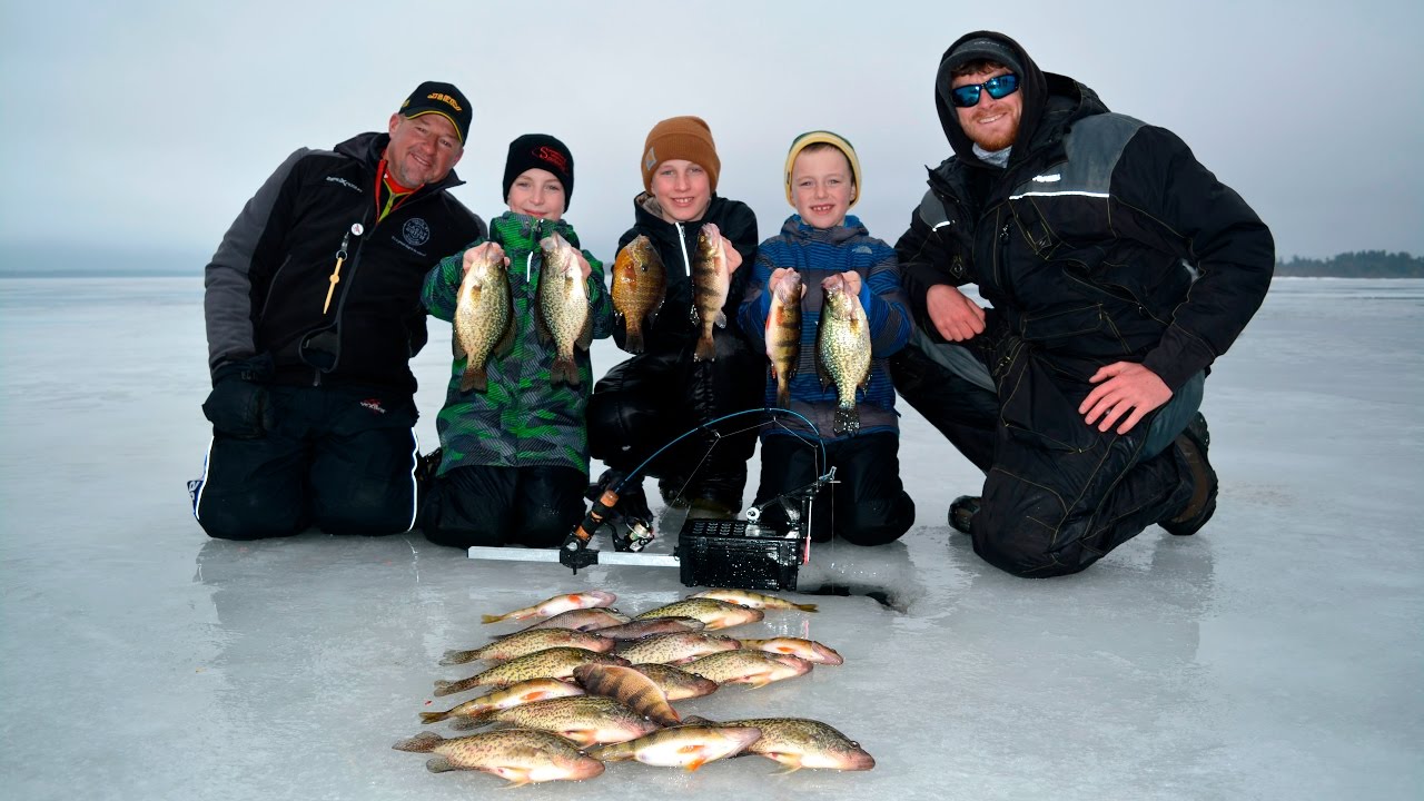 GillOTine Panfish on Northern Wisconsin Ice YouTube