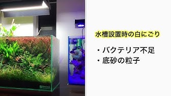 濁りが取れない Youtube