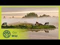 Waterworlds: Stickleback &amp; Beaver - Wild Holland 1/2 - Go Wild