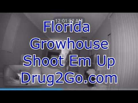 Florida Growhouse Shoot Em Up