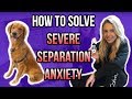HOW TO SOLVE SEVERE SEPARATION ANXIETY