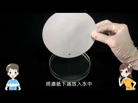 【國中自然】〈二上理化〉《康軒110版》2－1－示範探索－濾紙色層分析