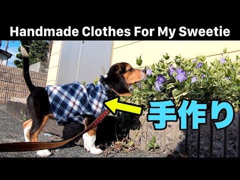 cute-handmade-clothes-i-made-for-my-beagle-puppy