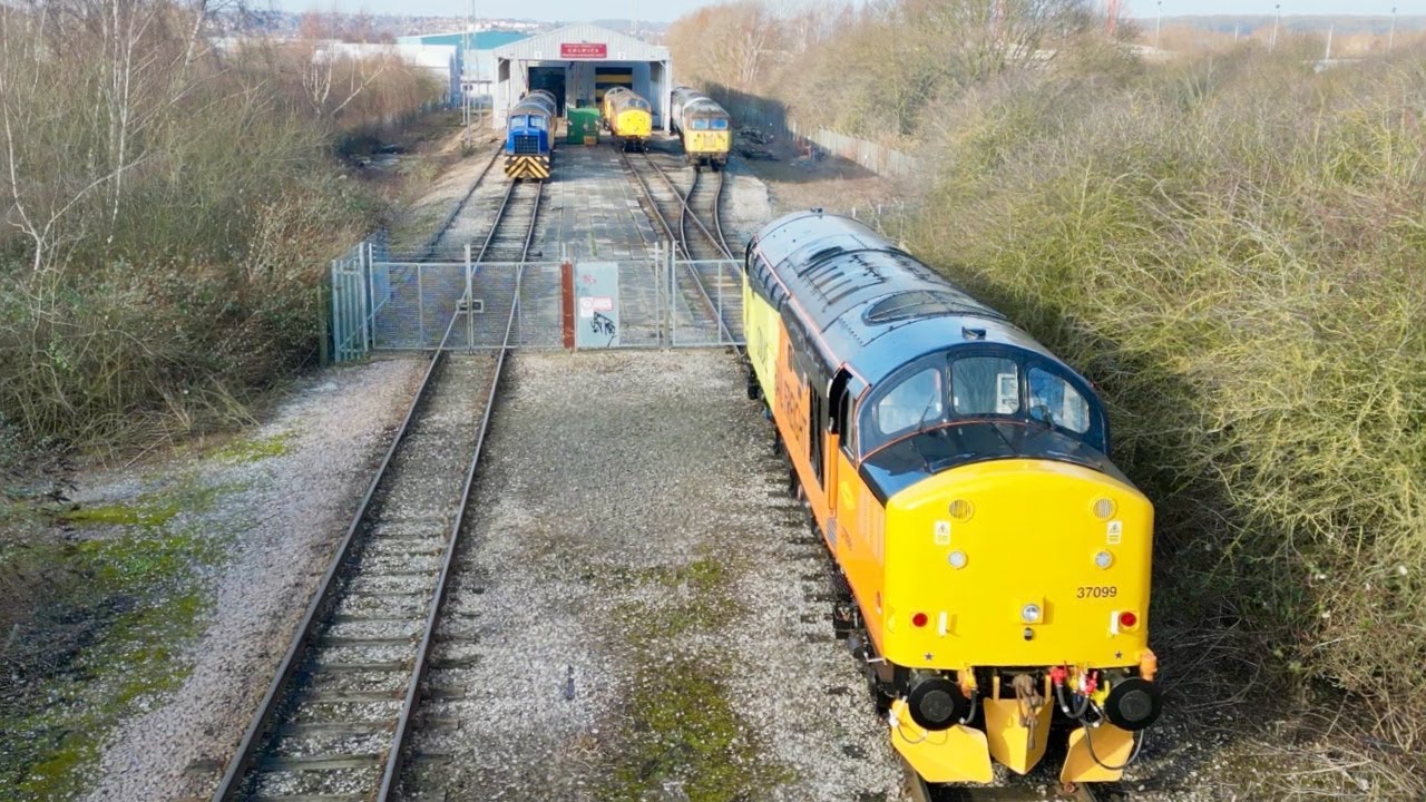 クラシック Thomas Duis live on Klavins Mod. 370 クラシック Thomas