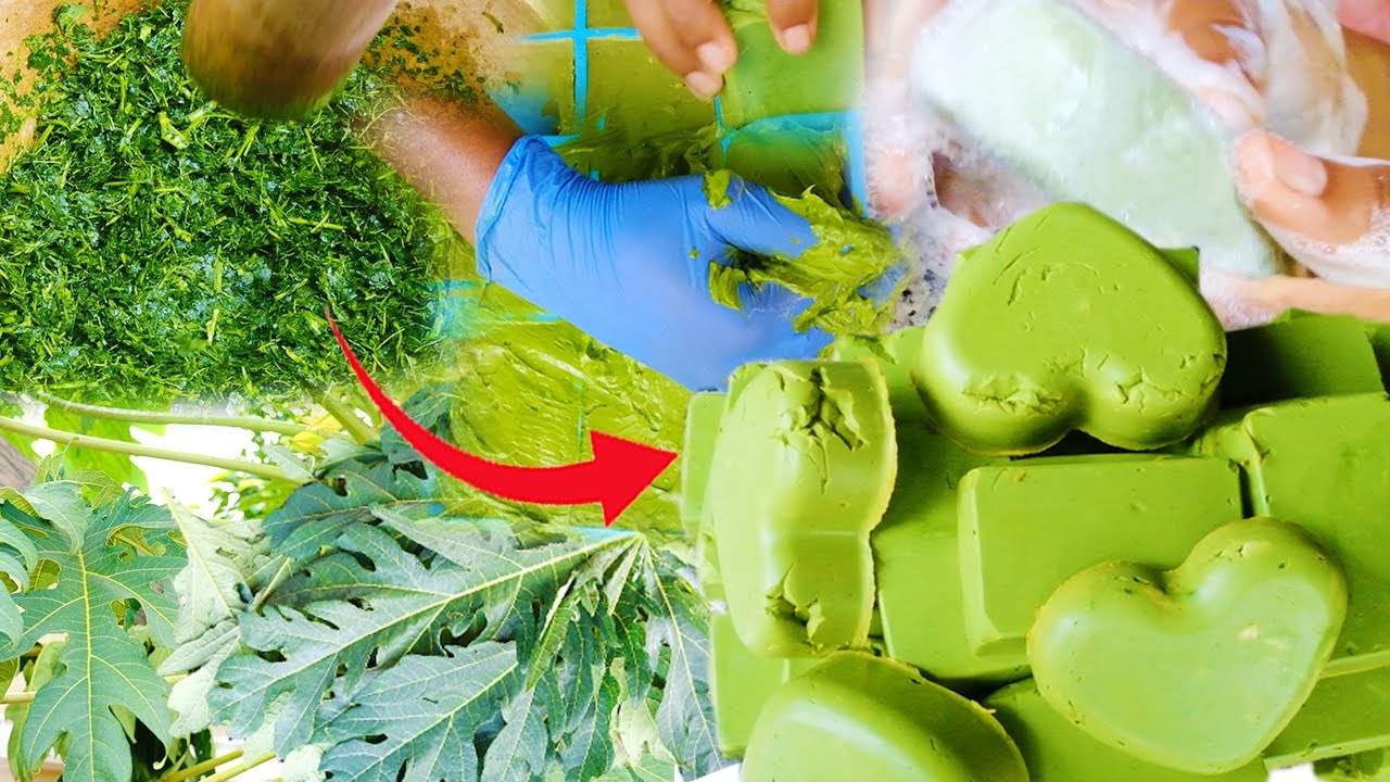 Домашнее противоинфекционное мыло с листьями папайи от прыщей, экземы и пятен