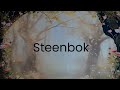 Steenbok februari 2026 #steenboktarot #tarot #astrologie #spiritueel #numerologie #intuitivetarot