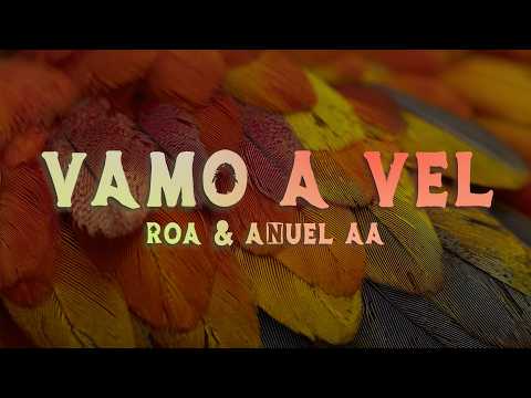 ROA & Anuel AA - VAMO A VEL (Lyrics/Letra)