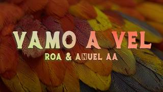 Roa & Anuel Aa - Vamo A Vel (/Letra)