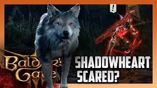 Shadowheart is Afraid of Wolves BALDUR&#39;S GATE 3