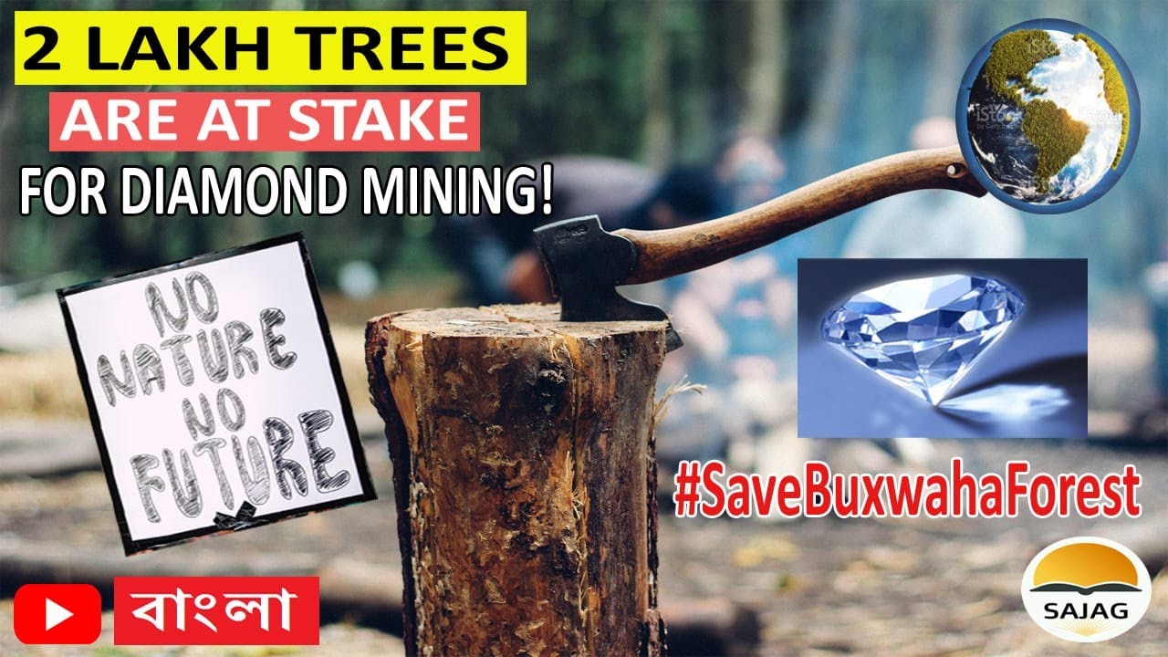 2 LAKH TREES  ARE AT STAKE | FOR DIAMOND MINING IN BUXWAHA FOREST