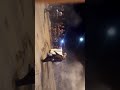 Chikh Khaled El Guelmi Chikh Khaled El Guelmi