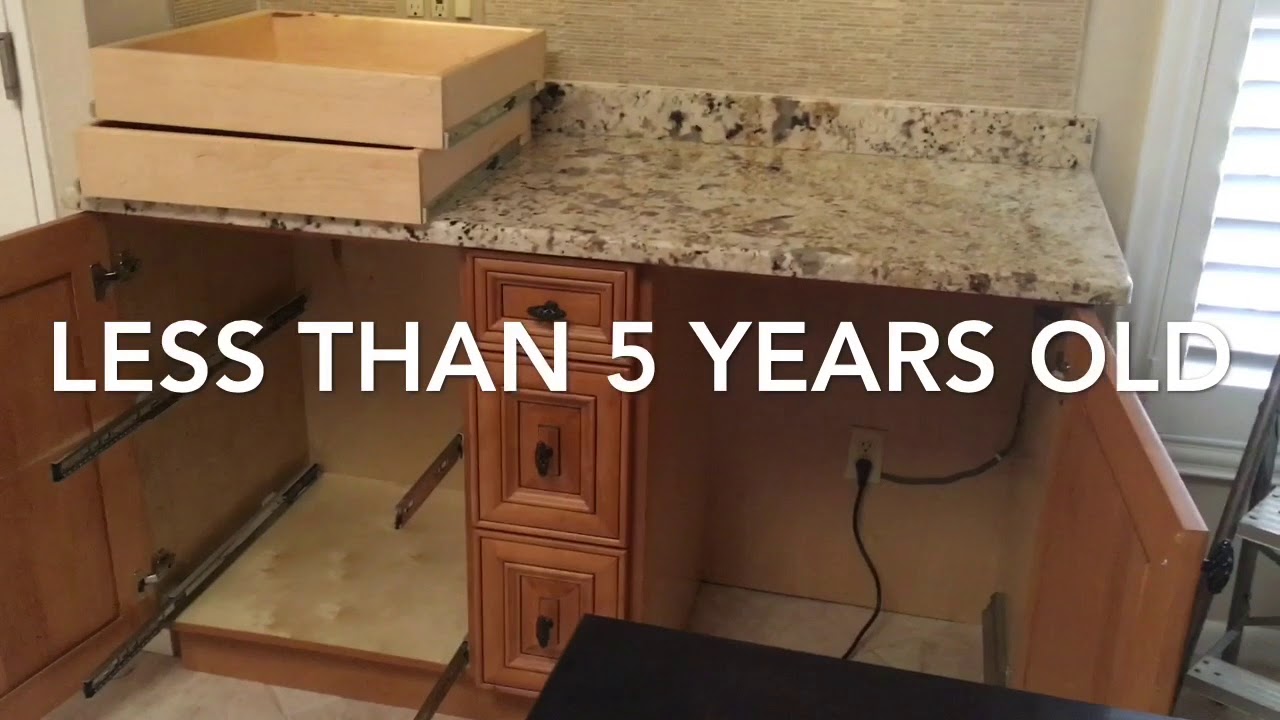 TERMITES IN CABINETS Dunedin - Coby's Tentless Termite & Pest Control