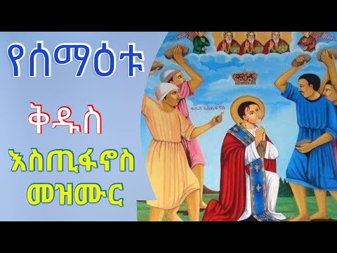 ቪዲዮ: በግሪክ የተሞሉ እንጉዳዮች