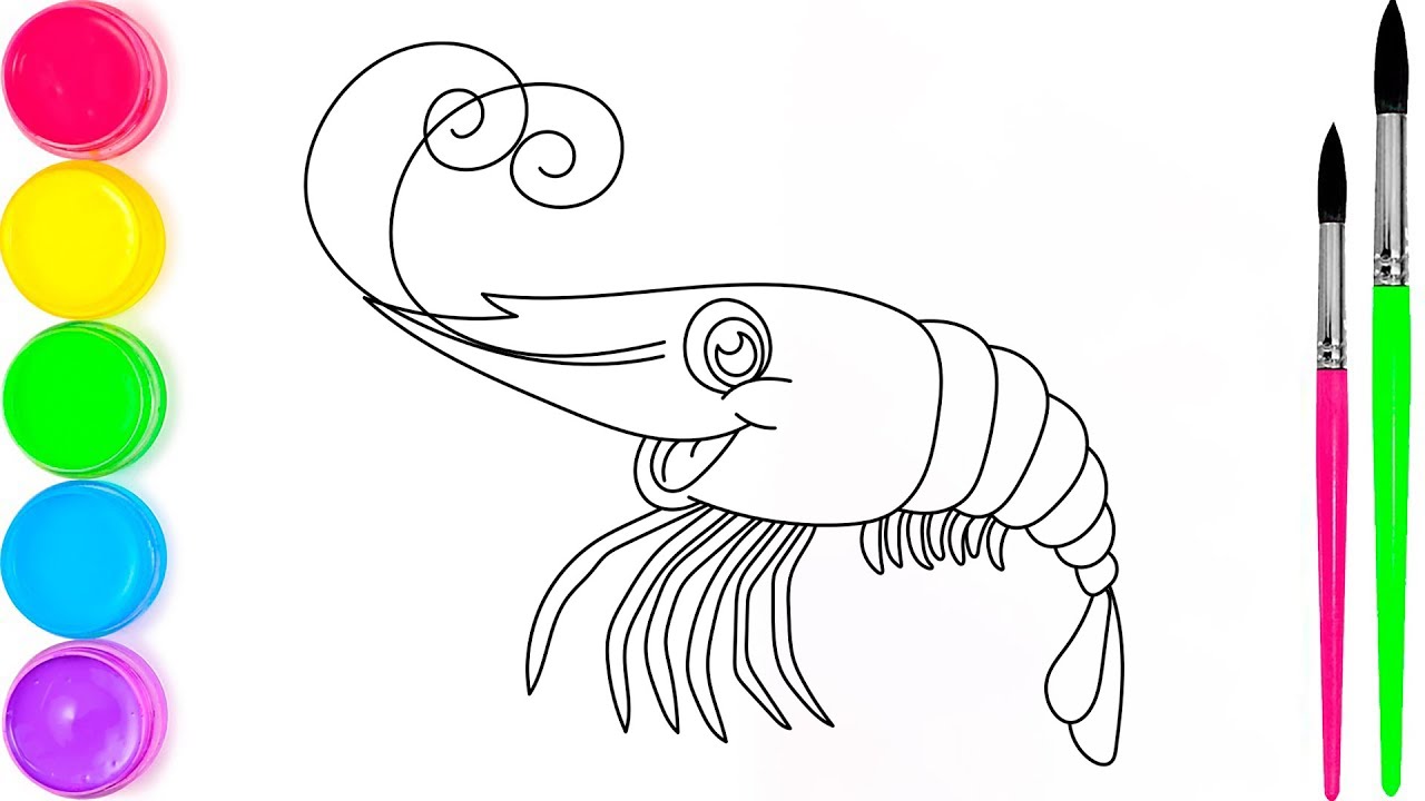 Shrimp Coloring Page for Kids | Fun Sea Animal Drawing and Creative Coloring Video for Kids
