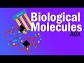 BIOLOGICAL MOLECULES ~ Detailed AQA A-level Revision