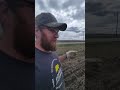 Picking Rocks #farming