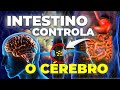 O poder do intestino como segundo crebro