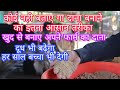 खुद से बनाए अपने गाय का दाना// Make your own granule (feed)how to cow feed making