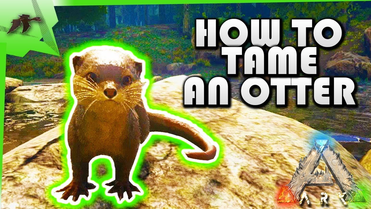 How To Tame An Otter Easy!(Tiniest Taming Pen)- Ark Survival Evolved Xbox One- Kamz25