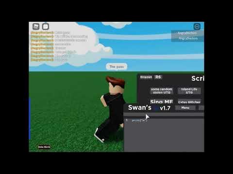 Make you a roblox ss executor by Gamerthefox1081