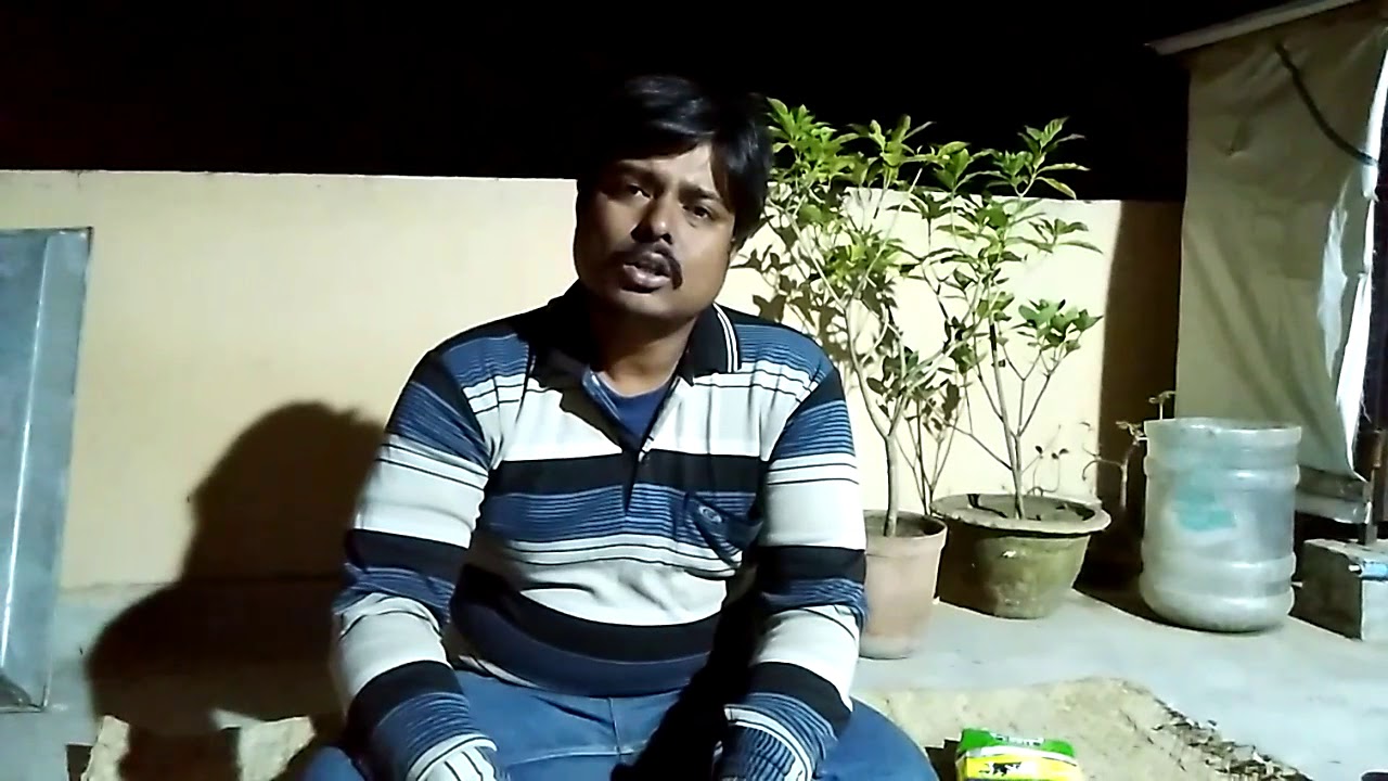 Feed supplement with vitamin & minerals for breeding pigeons