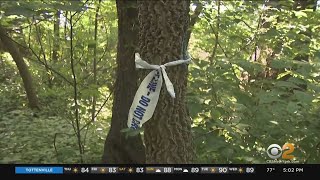 Neighborhood On Edge After 3 Women Attacked At Inwood Hill Park