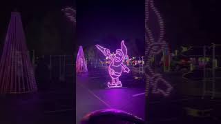 World Of Illumination Drive Through christmasroadtrip christmaslightschristmasfamilyfunzivotvusa
