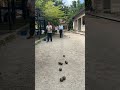 pétanque amusante 😲 | funny pétanque #pétanque #petanque2022 #petanque2023