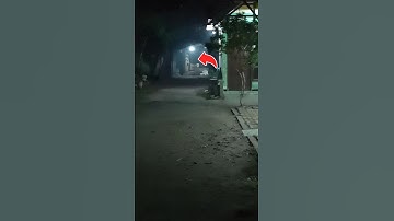 PENAMPAKAN!!?? #shorts#video #viral#penampakan#pocong#jumscare#ghost#seram#emn#epermynickname
