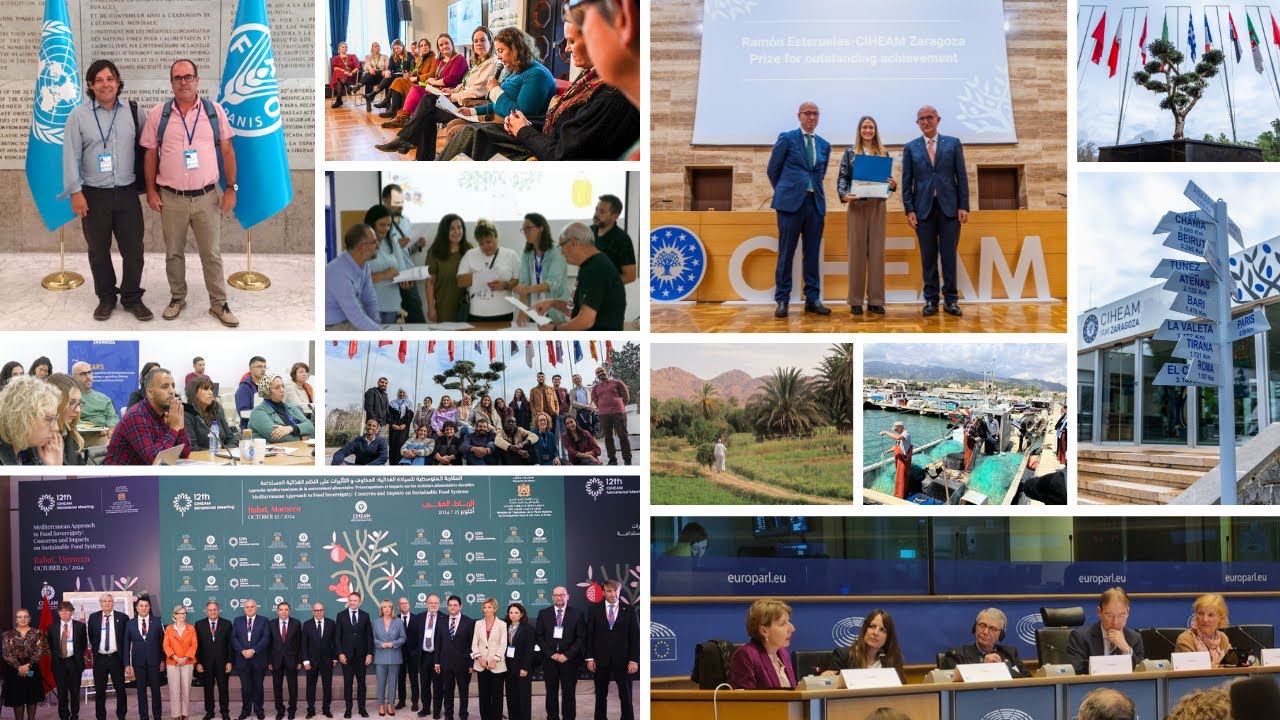 Highlights of 2024 | Training, research, and cooperation | CIHEAM Zaragoza