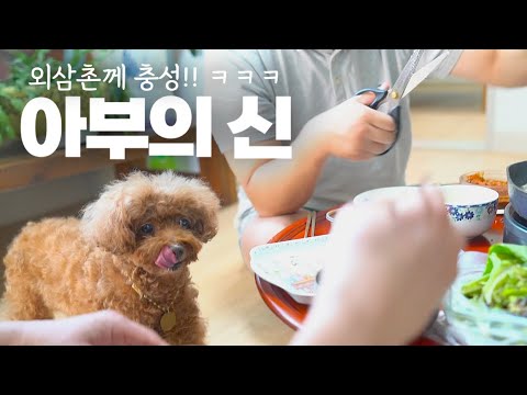 사회생활 잘하는 강아지 <strong>김대리</strong> 김꼬니ㅋㅋㅋㅋ