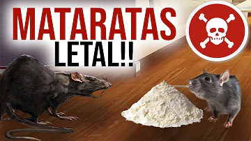 ¿Qué mata a las ratas de forma permanente?