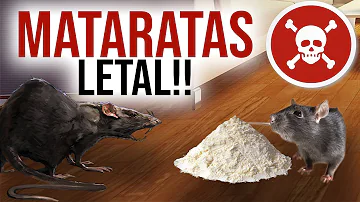 ¿Qué veneno mata instantáneamente a las ratas en el exterior?