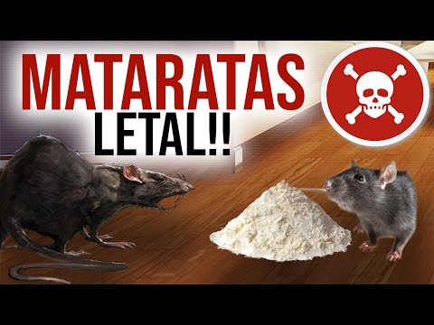 Video: ¿El veneno para ratas mataría a mi gato?
