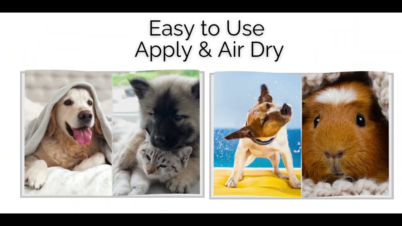 Does Your Pet have Stinky Fur? Try this Easy & Rinseless Pet Bath