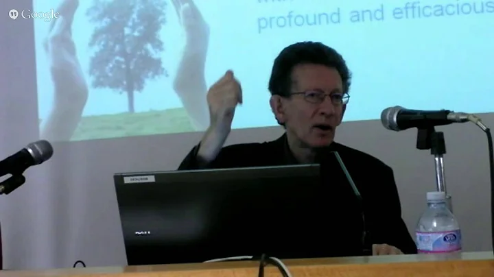 corso estivo 2015 Paul Haffner