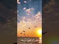اغنية ياراكبا في رحلة الحياة 