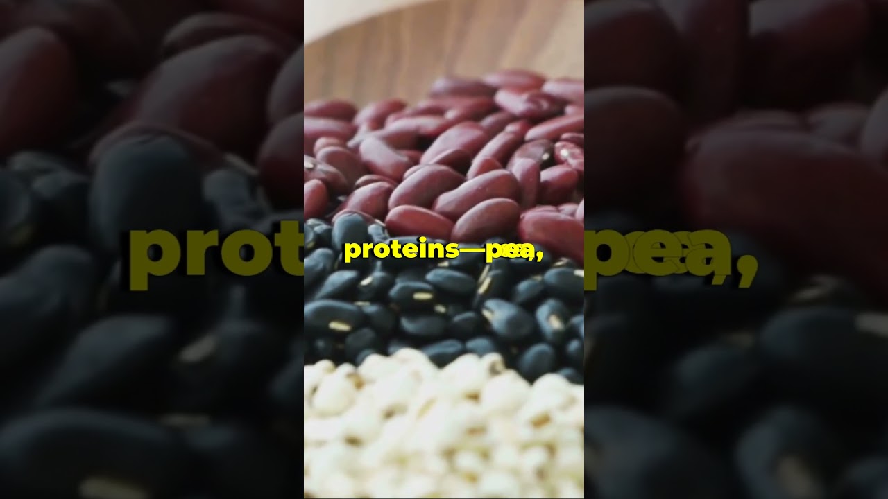 Protein Types Explained Simply 