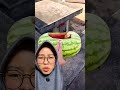 Buang Semangka JELEK‼️