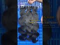 Iqueenla Body Wave Raw Hair Bundles 16-26 Age Young Donor Ft.iqueenla Raw Hair Review 2025