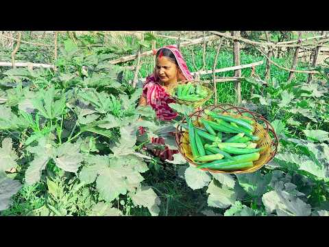 Bhindi Chips Recipe | भिंडी के कुरकुरे चिप्स बनाने का सबसे आसान तरीका | Crispy Okra Chips Recipe