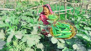 Bhindi Chips Recipe | भिंडी के कुरकुरे चिप्स बनाने का सबसे आसान तरीका | Crispy Okra Chips Recipe