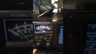 P49Y Cq Ww On 80M Loop