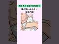 【猫の豆知識50選③】知られざる猫の秘密と本能的な行動をノンストップで大公開! #猫 #雑学 #豆知識