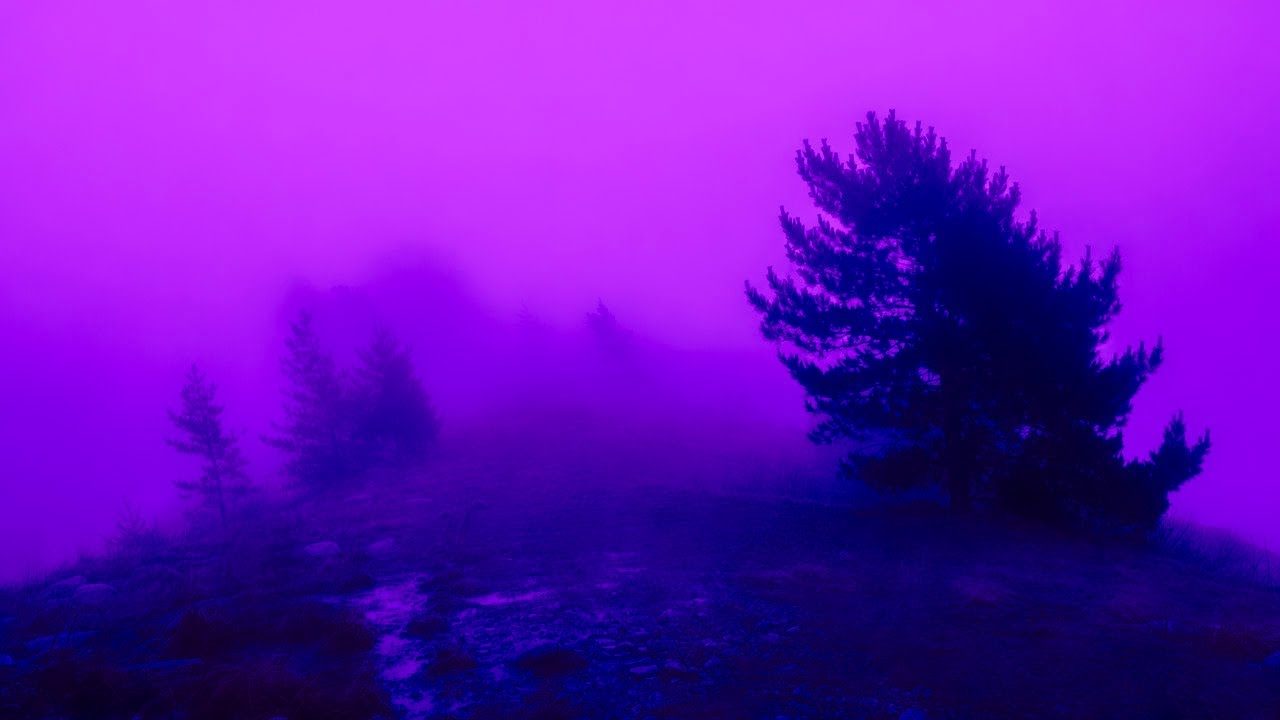 in my restless dreams...