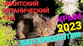 Ялта, Никитский ботанический сад в Крыму 2023. Как доехать, цены, билеты, обзор.