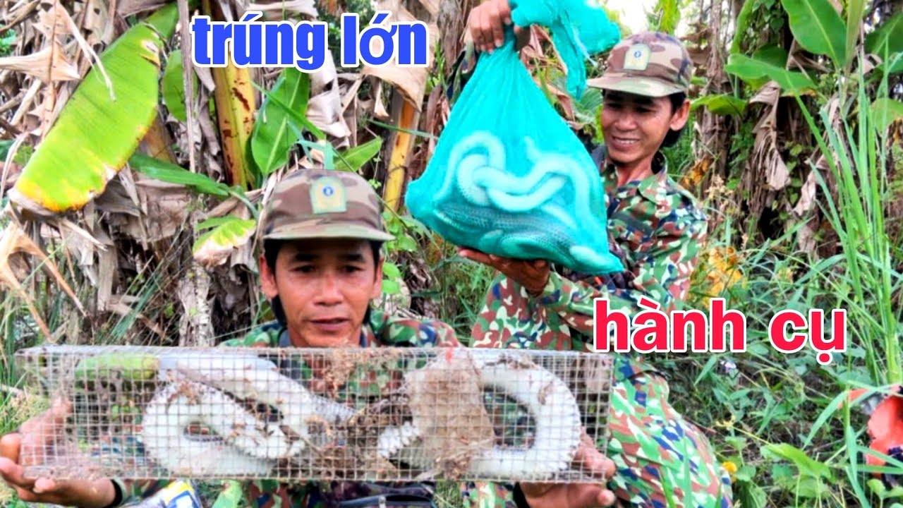 1 Cữ Thăm Bẫy Rắn Lấy Vốn Lẫn Lời 700k Tiền Chuột Toàn Hàng Khủng