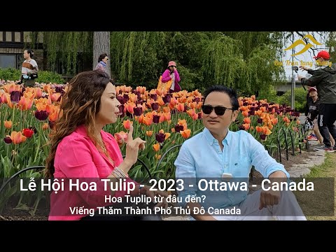 Video: Lễ hội rất tốt nhất của Canada