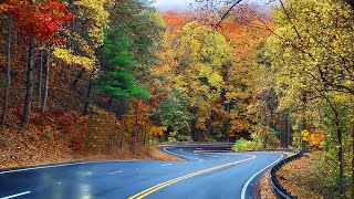 Georgia's Fall Foliage: US-19 Most Beautiful Road in Chattahoochee National Forest by Sony Le - Home and Garden Channel 3,991 views 1 year ago 20 minutes